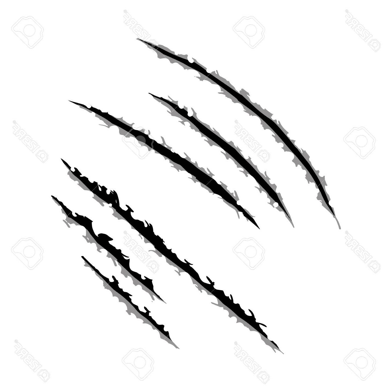 1300x1300 Best Hd Vector Claw Marks Vector Images Free Vector Art, Images