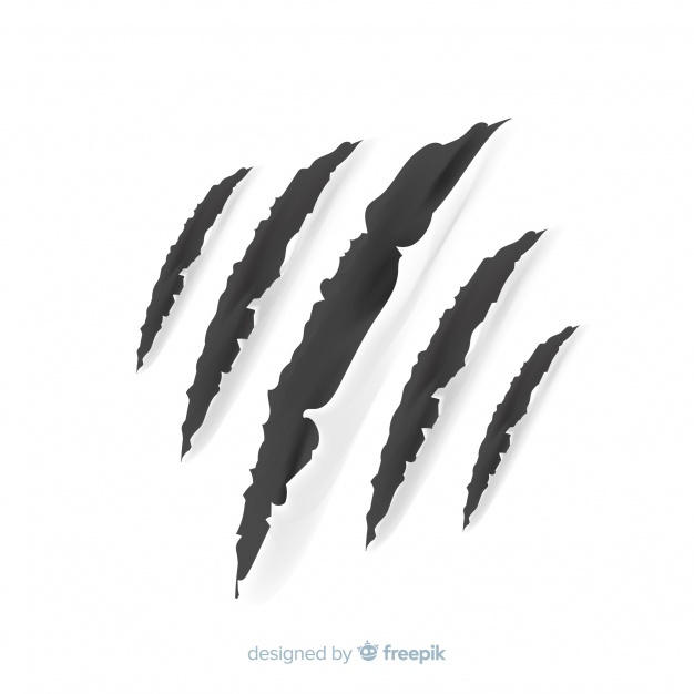 626x626 Claw Marks Vectors, Photos And Free Download