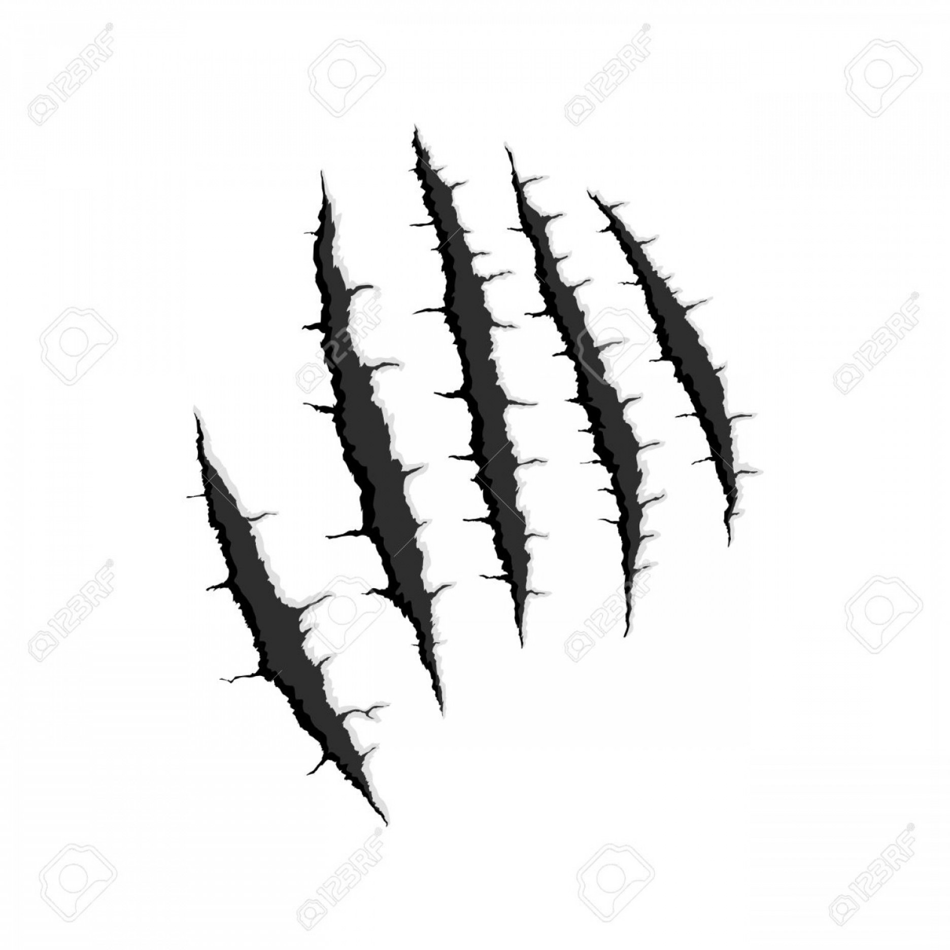 1872x1872 Photostock Vector Vector Black Five Vertical Trace Of Monster Claw