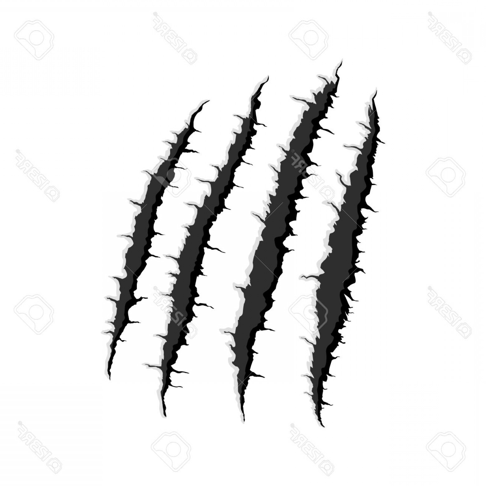 1560x1560 Photostock Vector Vector Black Four Vertical Trace Of Monster Claw