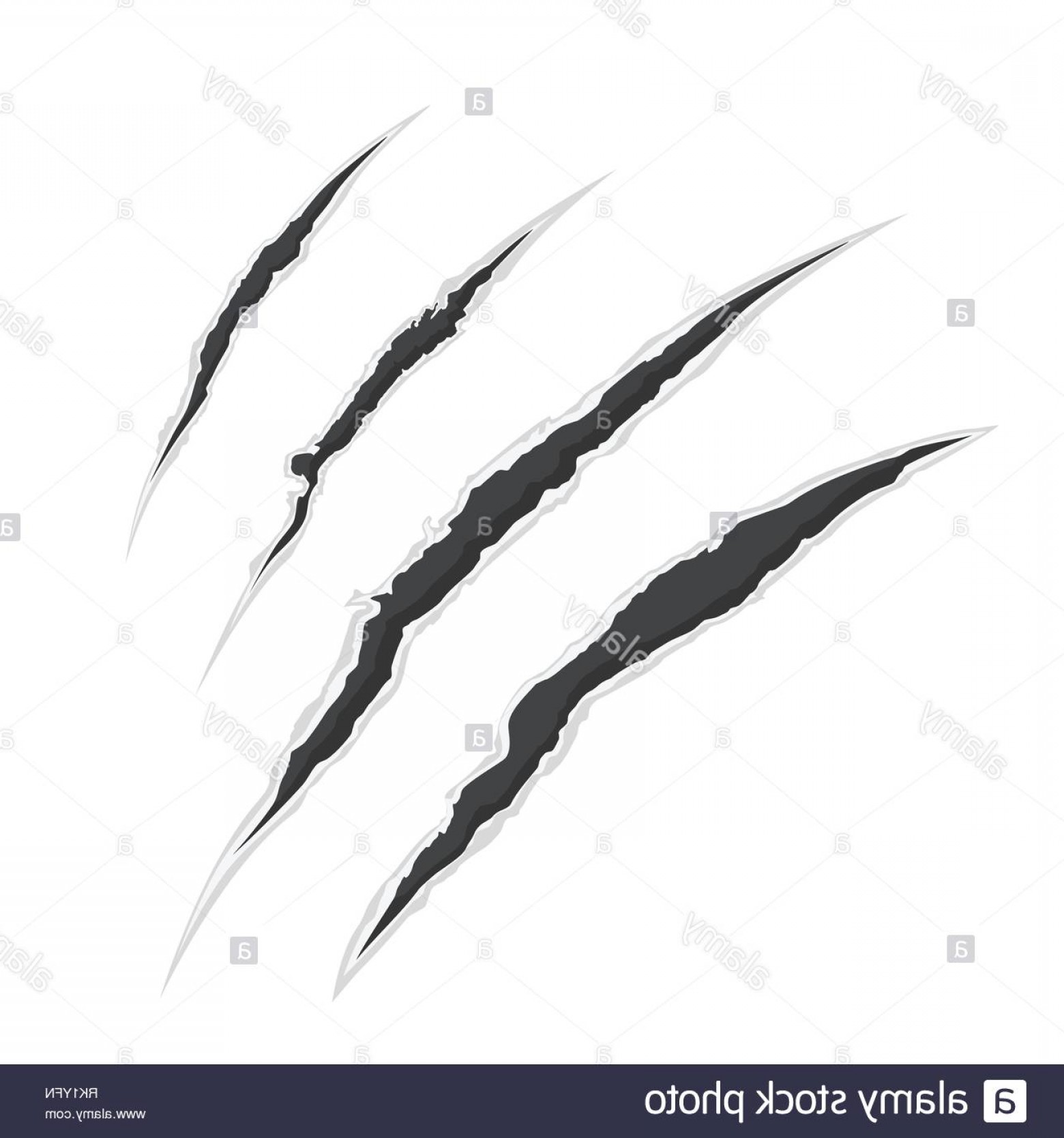 1560x1668 Vector Illustration Claw Scrathes Four Vertical Trace Of Monster