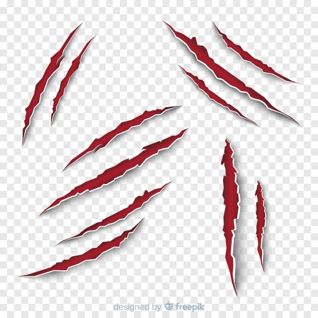 626x626 Claw Vectors, Photos And Free Download