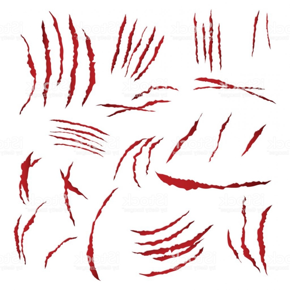 1228x1228 Claws Scratches Vector Isolated On White Background Bear Or Tiger