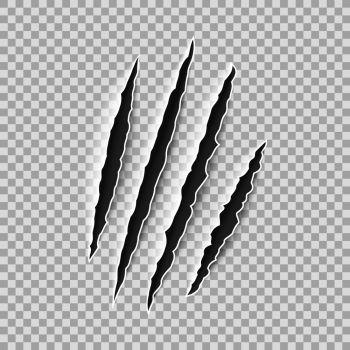 350x350 Image Details Iss