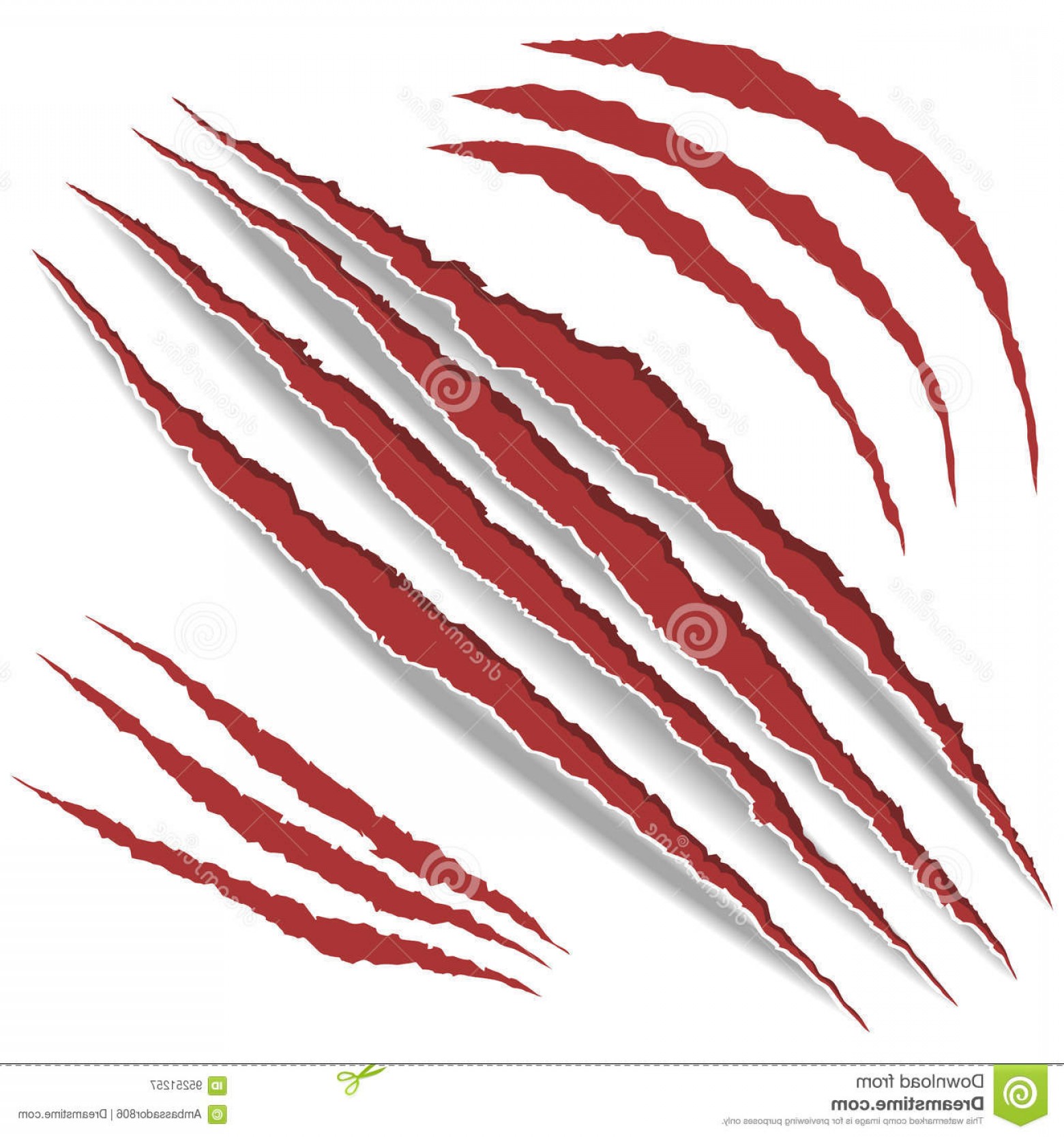 1560x1668 Animal Scratch Vector Catamart