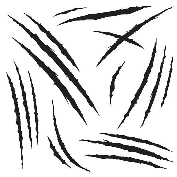 612x612 Claw Marks Clipart