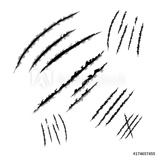 500x500 Animal Claws Scratches, Vector Illustration Design