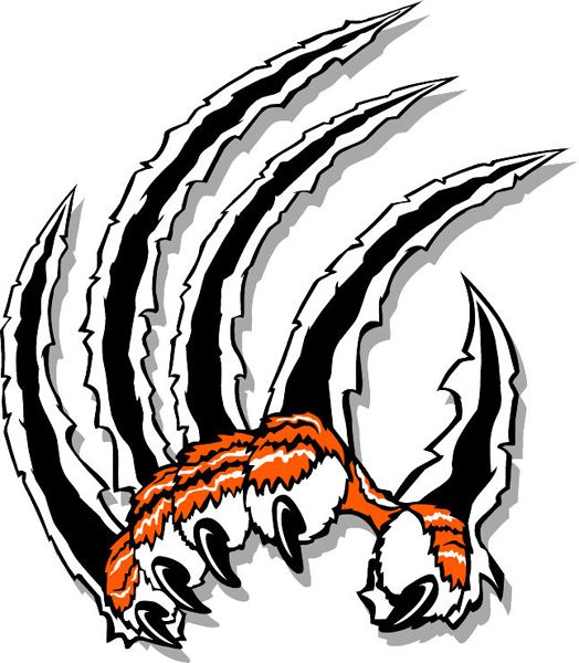 Image Detail For Tiger Claws Mascot Team Sports Decal Let It 524x600 Image Detail For Tiger Claws Mascot Team Sports Decal Let It