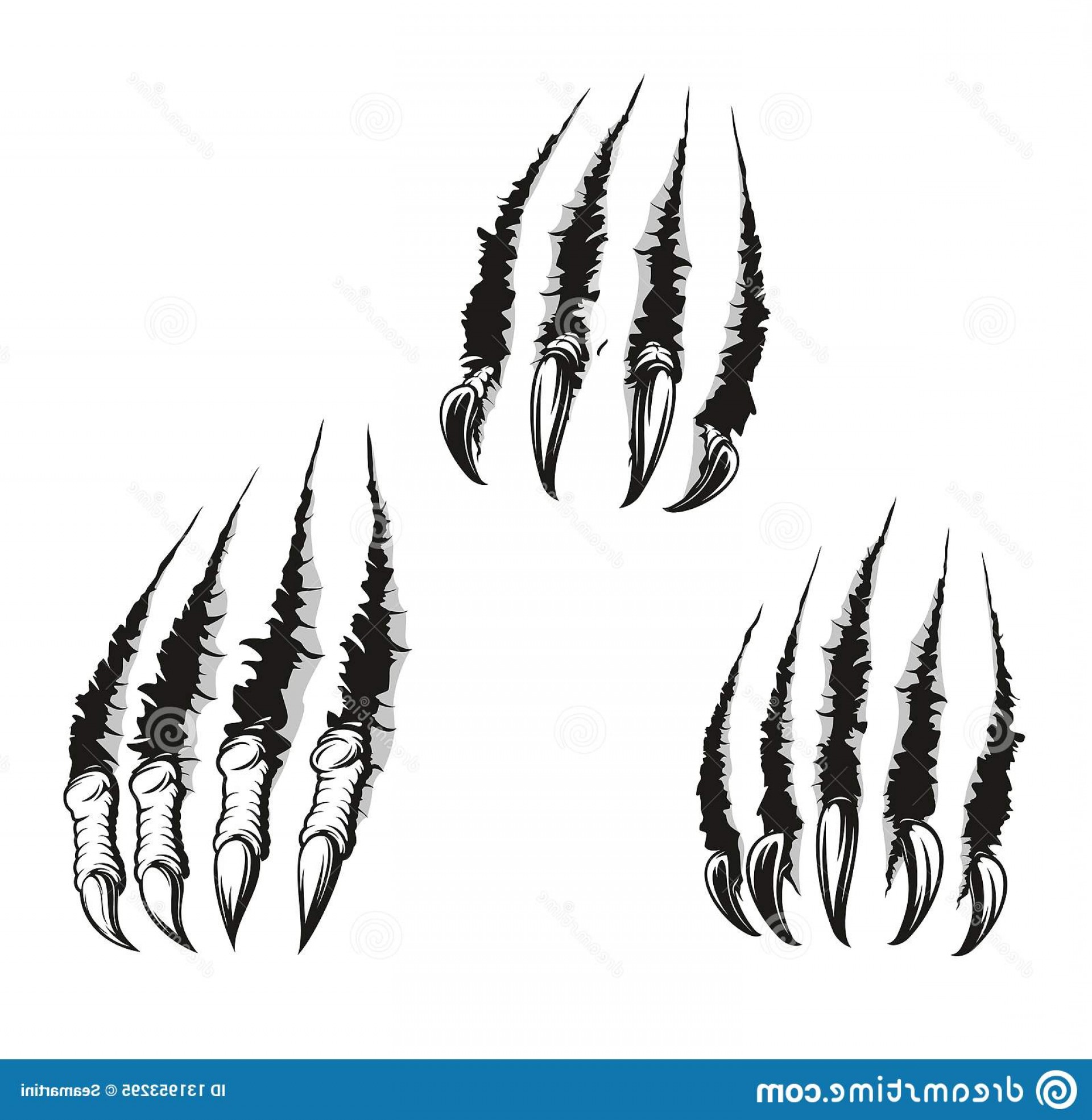 Claw Tear Vector at Vectorified.com | Collection of Claw Tear Vector ...