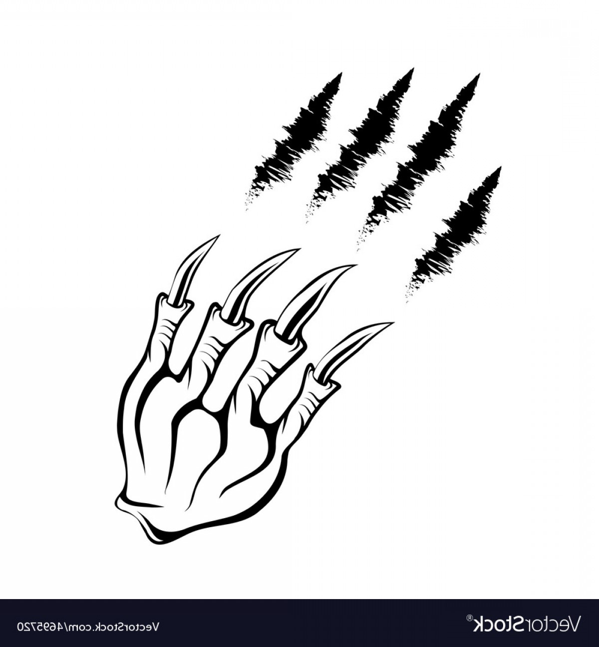 Vector Claw Marks Handandbeak 1200x1296 Vector Claw Marks Handandbeak