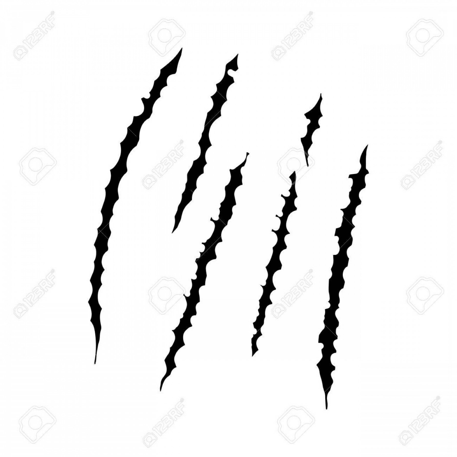 Photostock Vector Animal Claws Scratches Vector Illustration 1872x1872 Photostock Vector Animal Claws Scratches Vector Illustration