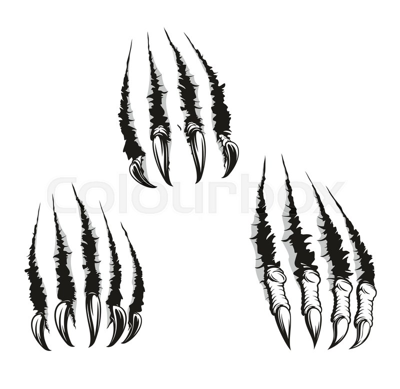 Scratch Claws Of Animals, Vector Stock Vector Colourbox 800x777 Scratch Claws Of Animals, Vector Stock Vector Colourbox