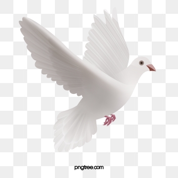 Clay Pigeon Png, Vector, And Clipart With Transparent 360x360 Clay Pigeon Png, Vector, And Clipart With Transparent