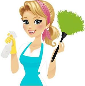 298x300 Cleaning Lady Images