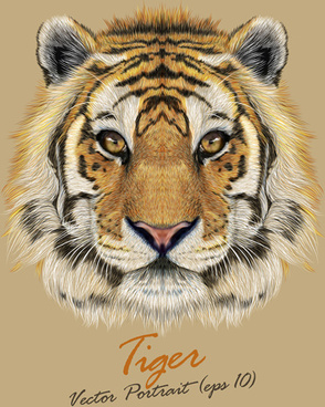 294x368 Clemson Tiger Paw Background Free Vector Download