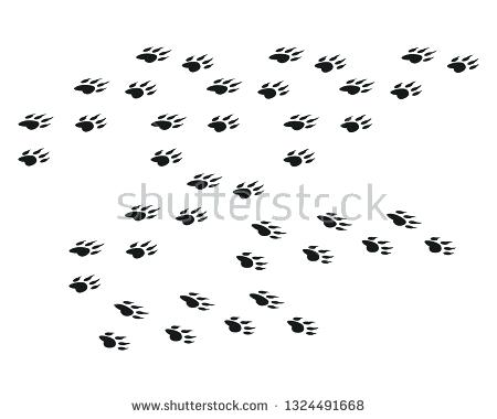 450x380 Tiger Paw Template