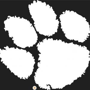 300x300 Tiger Paw Template Royalty Free Vector Of A Black And White Head