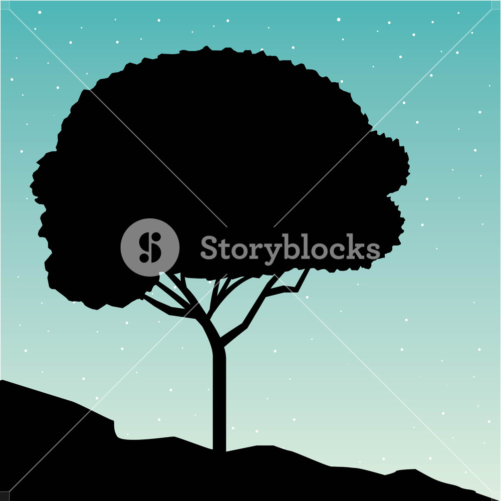 1000x1000 Wanderlust Travel Landscapes Tree Sunset Cliff Vector Illustration