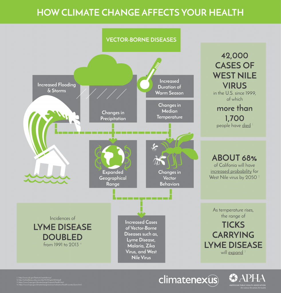 982x1024 Climate Risk And Spread Of Vector Borne Diseases Climate Nexus