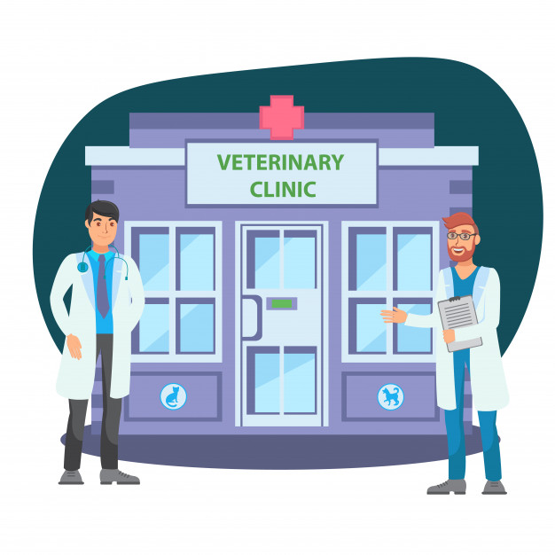 626x626 Veterinary Clinic Flat Vector Color Illustration Vector Premium