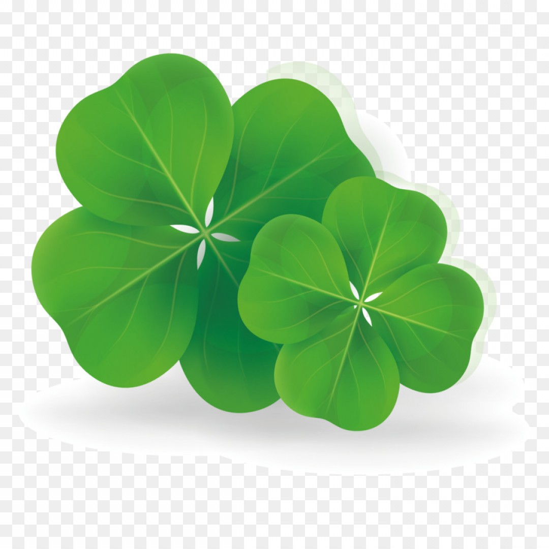 Png Four Leaf Clover Vector Clover Soidergi 1080x1080 Png Four Leaf Clover Vector Clover Soidergi
