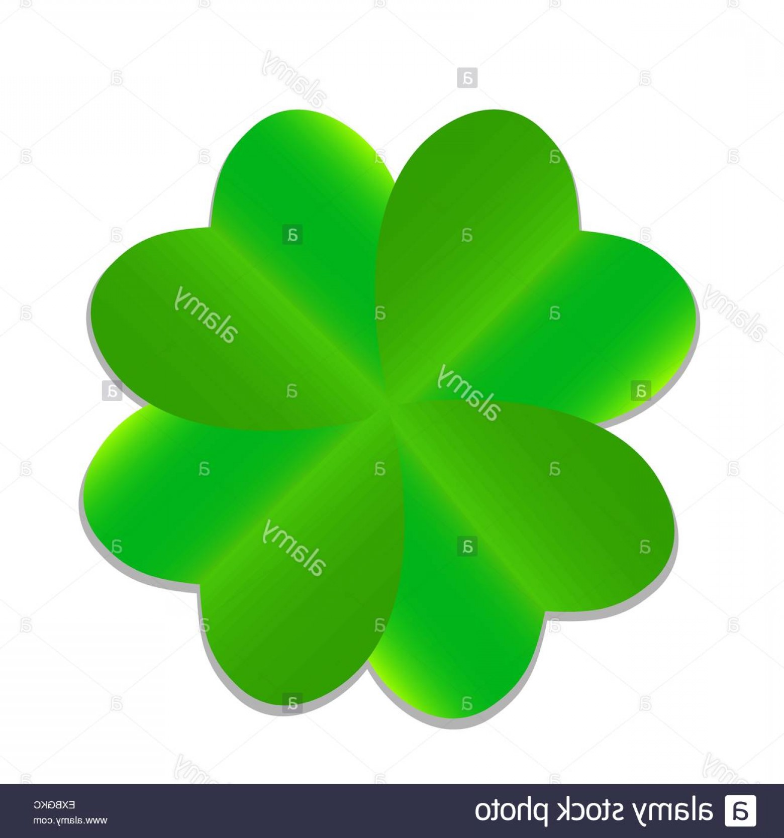 Stock Photo Four Leaf Green Clover Vector Illustration Handandbeak 1560x1668 Stock Photo Four Leaf Green Clover Vector Illustration Handandbeak