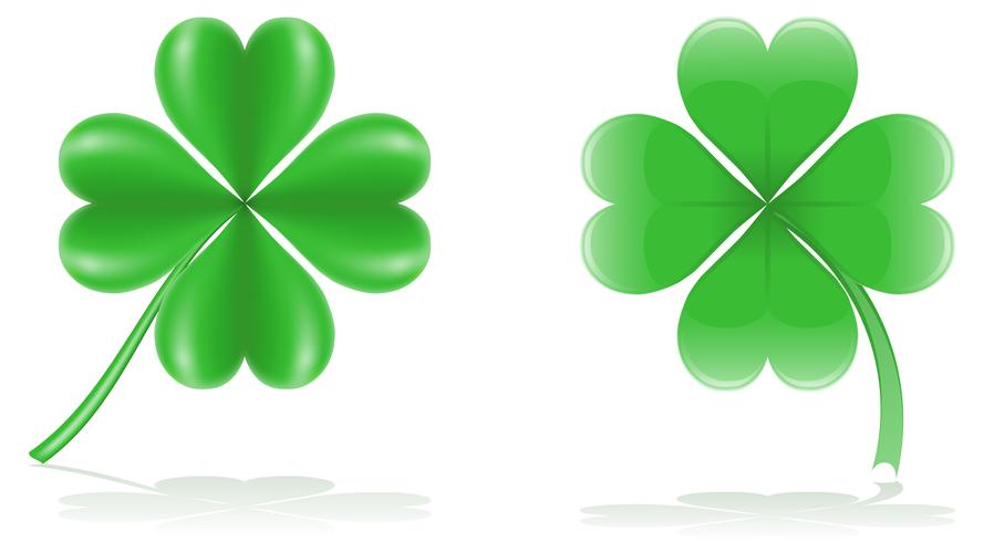 Lucky Clover Vector Illustration 898x490 Lucky Clover Vector Illustration