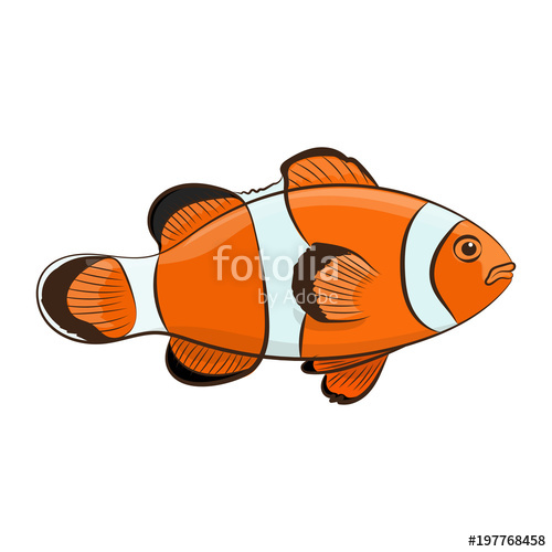 500x500 Clown Fish Vector Illustration Stock Image And Royalty Free