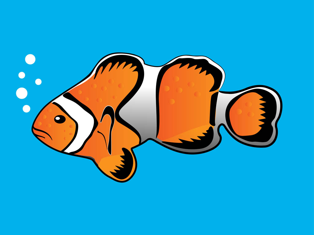 1024x767 Clownfish Vector Vector Art Graphics
