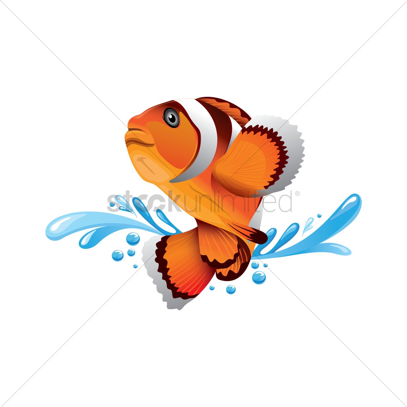 1300x1300 Free Clownfish Vector Image