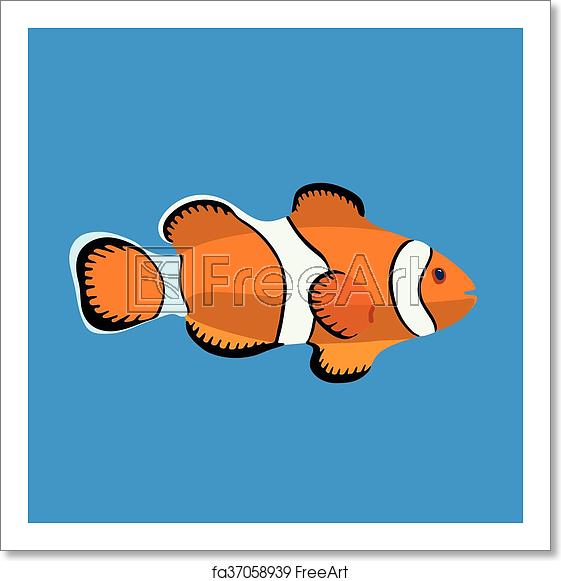 561x581 Free Art Print Of Clown Fish, Vector Illustration Ocean Clown