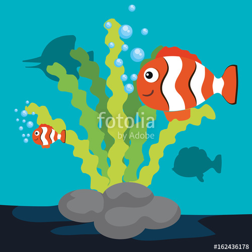 500x500 Sea Life Design With Clown Fish Vector Illustration Stock Image