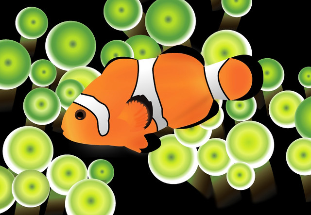 640x443 My Clown Fish Vector Art My Vector Art David Wang