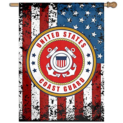 425x425 Us Coast Guard Vector Logo Distressed Flag