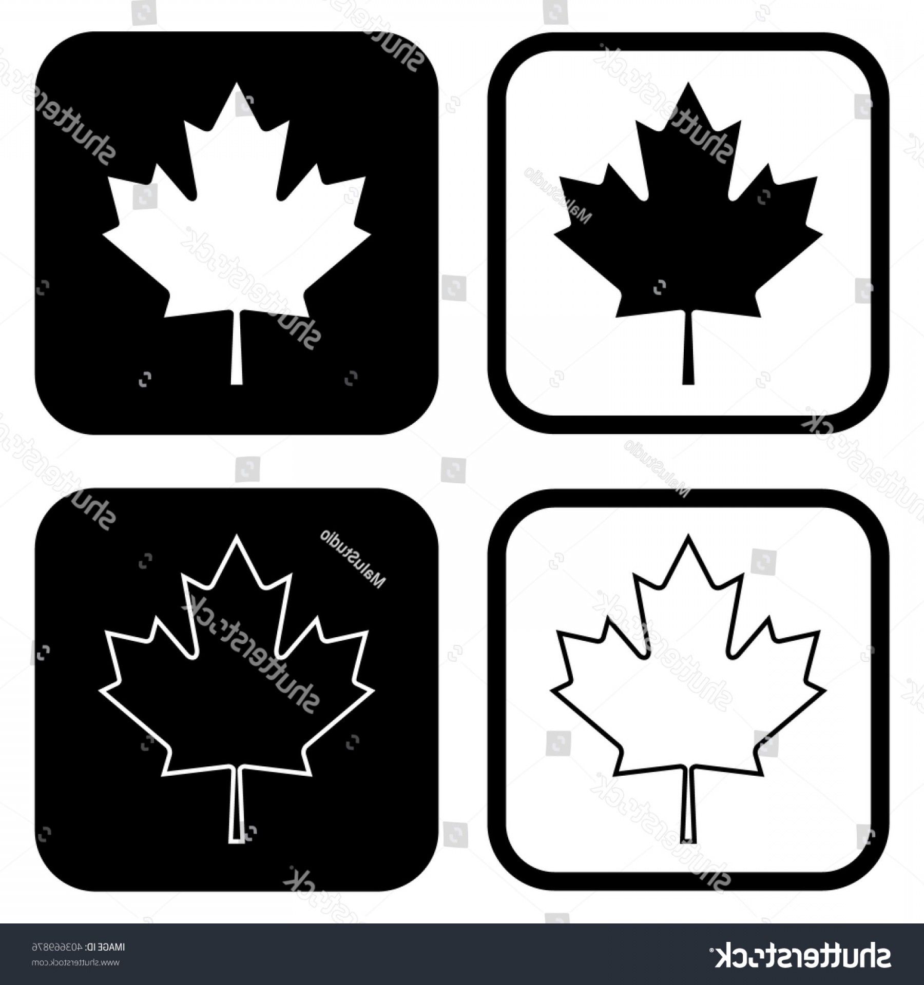 1800x1920 Coat Of Arms Black And White Vector Leaves Catchsplace