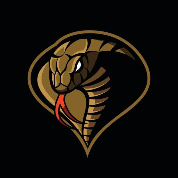 Cobras Football Logo
