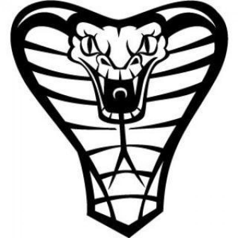 780x780 Cobra Snake Vector