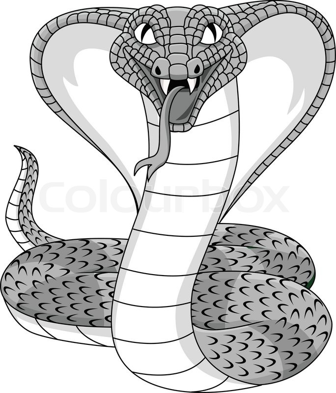 684x800 Cobra Snake Tattoo Stock Vector Colourbox