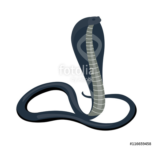 500x479 Cobra Snake Vector Stock Image And Royalty Free Vector