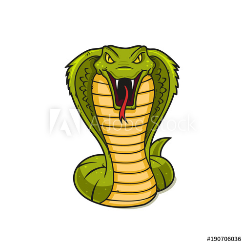 500x500 Cobra Snake Vector Illustration Isolated On White