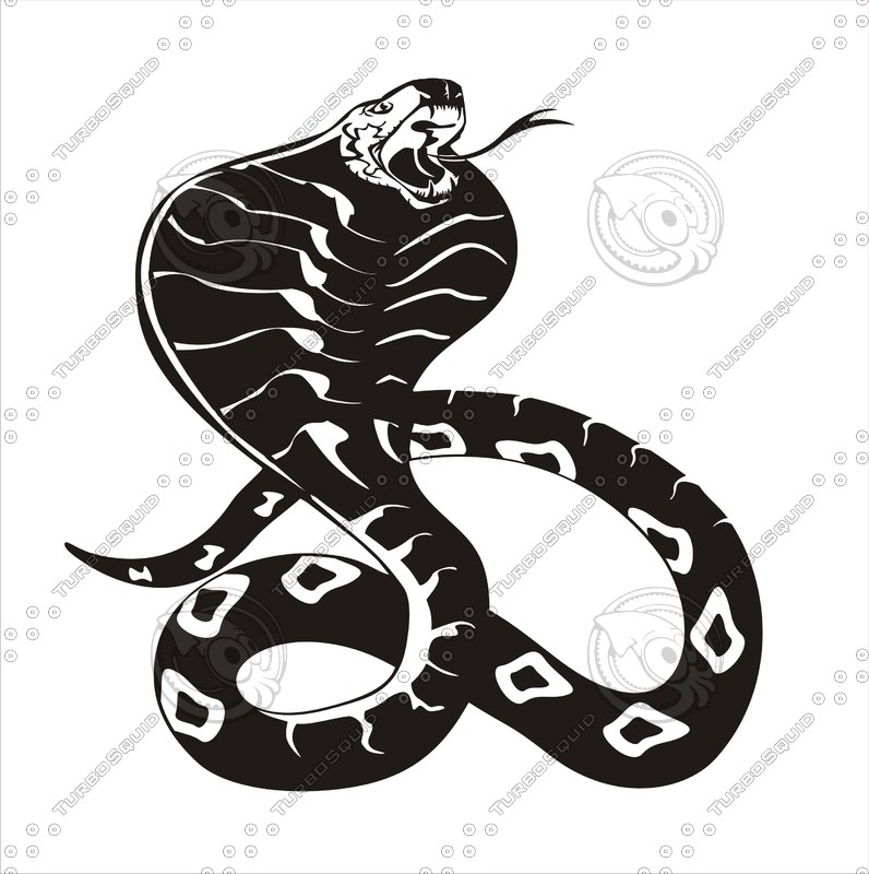 796x800 Shapes Other King Cobra Snake