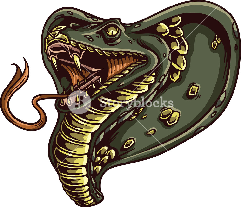 1000x861 Vector Cobra Snake Royalty Free Stock Image