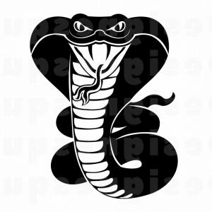 300x300 Vector Dangerous Cobra Snake Hood Logo Cqrecords