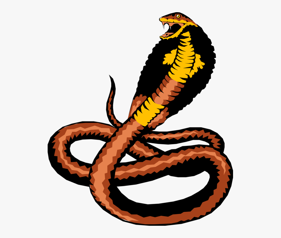 Cobra Snake Vector At Vectorified.com | Collection Of Cobra Snake ...