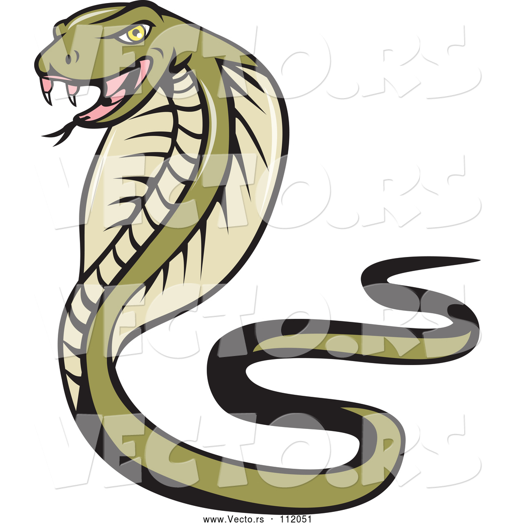 1024x1044 Vector Of Cartoon Green Cobra Snake