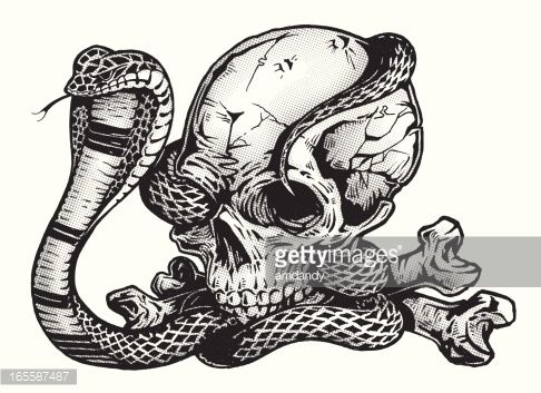 486x353 Pen Ink Skull With Cobra Snake Vector