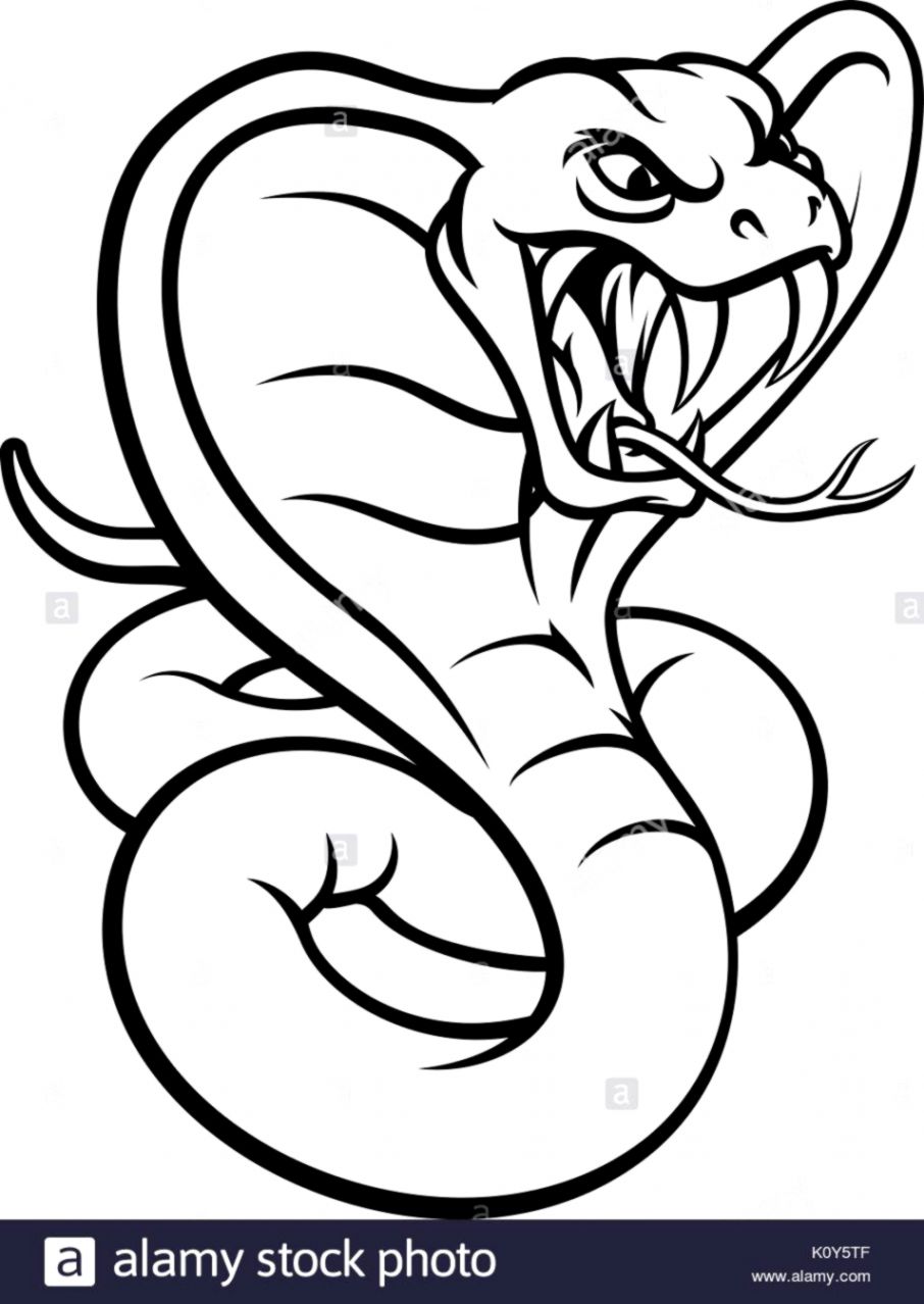 906x1278 Cobra Snake Drawings Wallpapers Sinaga