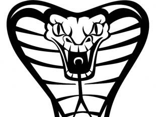 310x233 Cobra Snake Head Free Vector Free Vectors Ui Download