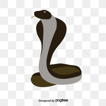 360x360 Cobra Snake Png, Vector, And Clipart With Transparent