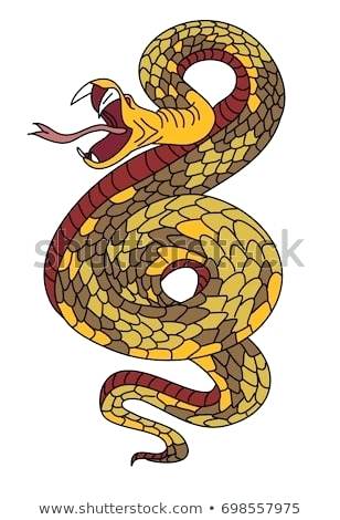 308x470 King Cobra Mouth Open Snake Cobra Tattoo Style Cobra Vector King
